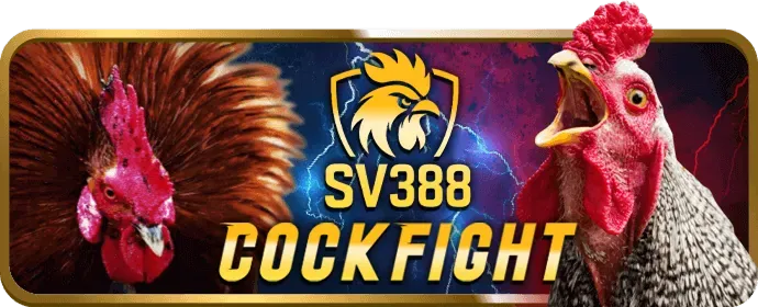 Đá gà Hi88vip1